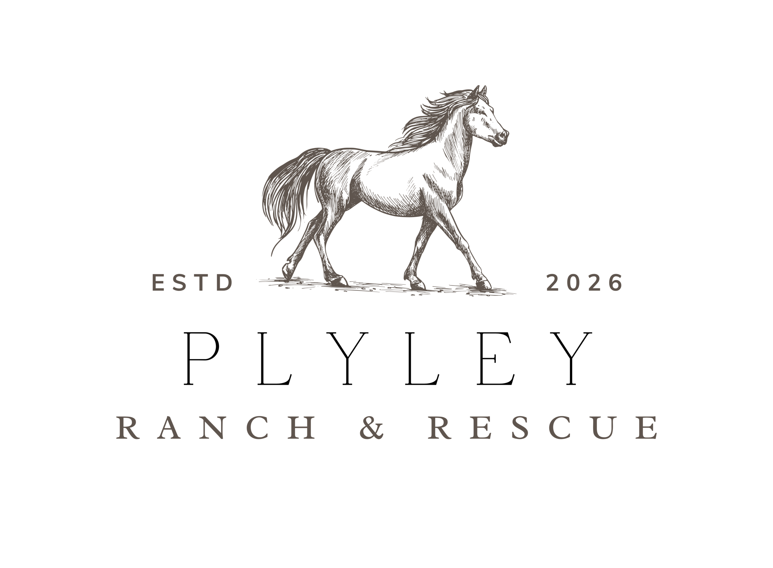 Plyley Ranch & Rescue